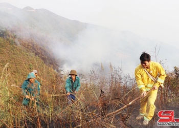 Thuận Châu khẩn trương triển khai các biện pháp PCCCR