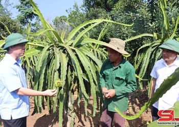 Luân chuyển, điều động cán bộ - tôi luyện để trưởng thành:
Kỳ II. Người đứng đầu không phải người địa phương
