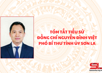 Tóm tắt tiểu sử đồng chí Nguyễn Đình Việt, Phó Bí thư Tỉnh ủy Sơn La