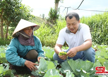 Sẵn sàng cung ứng thực phẩm, nông sản dịp Tết