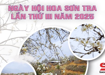 “Ngày hội hoa Sơn Tra” lần thứ III, năm 2025