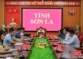 Tăng cường kiểm tra việc chấp hành quy định của pháp luật về dược, an toàn thực phẩm