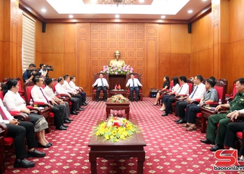 Đoàn đại biểu biên giới tỉnh Luông Pha Bang chào xã giao Thường trực Tỉnh ủy