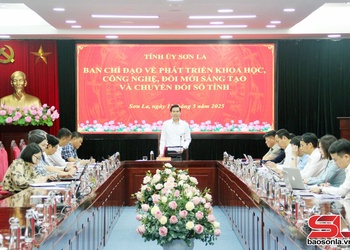 Họp Ban Chỉ đạo về phát triển khoa học, công nghệ, đổi mới sáng tạo và chuyển đổi số tỉnh 