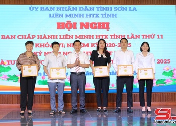 Phát huy vai trò của kinh tế tập thể đổi mới, sáng tạo