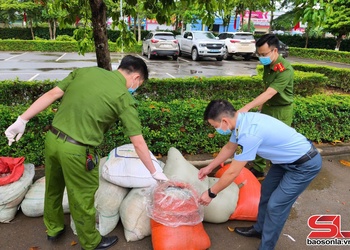 Thu giữ 883 kg nội tạng động vật không rõ nguồn gốc xuất xứ
