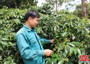 Đảng bộ huyện Thuận Châu học tập và làm theo Bác