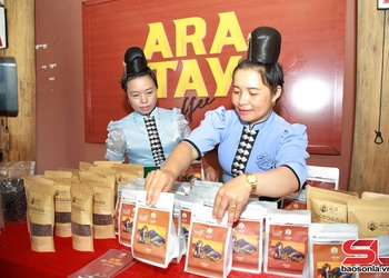 Xây dựng thương hiệu cà phê Arabica Sơn La 