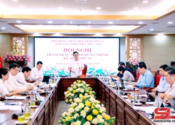 Thẩm tra các nội dung trình Kỳ họp thứ 11 
