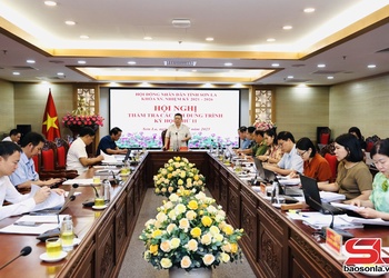 Ban Pháp chế HĐND tỉnh thẩm tra các nội dung trình Kỳ họp thứ 11