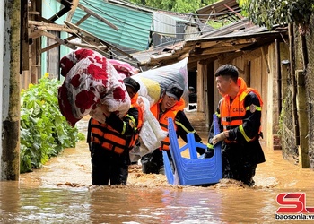 Sơn La nỗ lực vượt lên trong mưa lũ