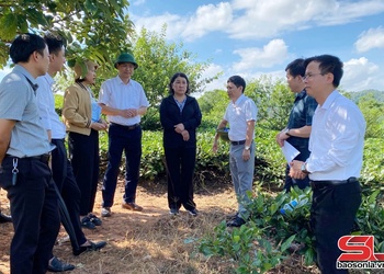 Đồng chí Phó Chủ tịch Thường trực UBND tỉnh khảo sát địa điểm xây dựng trường tại các xã biên giới
