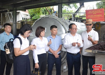 Nghiệm thu Đề án: “Hỗ trợ ứng dụng máy móc, thiết bị tiên tiến vào sản xuất chế biến hoa quả”