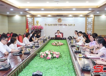 Hội nghị trực tuyến toàn quốc về Chương trình mục tiêu quốc gia về chăm sóc sức khỏe dân số và phát triển giai đoạn 2026-2035