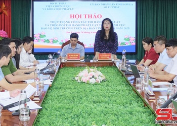 Hội thảo về thi hành pháp luật trong lĩnh vực bảo vệ môi trường