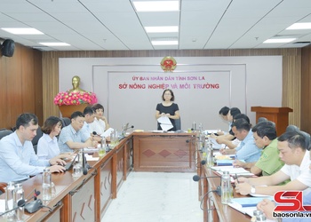 Triển khai Dự án “Giảm nhẹ và thích ứng với biến đổi khí hậu trong nông lâm nghiệp tại Tây Bắc – Giai đoạn 2”