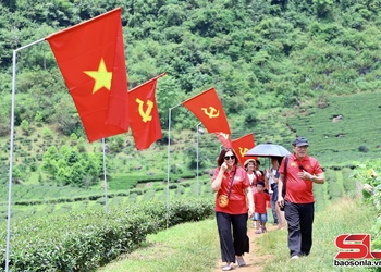 Rực rỡ đường cờ Tổ quốc trên đồi chè dưới chân đèo Pha Đin