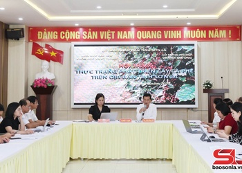 Đưa cây cà phê trở thành cây trồng chủ lực trong phát triển kinh tế