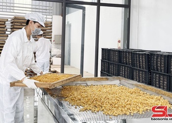 Nâng tầm sản phẩm, hàng hóa bằng chất lượng