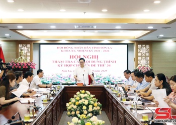 Ban Kinh tế - Ngân sách thẩm tra các nội dung trình kỳ họp chuyên đề thứ 34 HĐND tỉnh