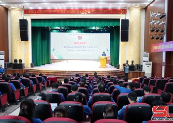 Hội nghị tập huấn nghiệp vụ công tác Đoàn - Hội năm 2025