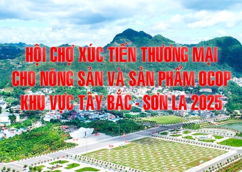 Hội chợ xúc tiến thương mại cho nông sản và sản phẩm OCOP khu vực Tây Bắc - Sơn La năm 2025