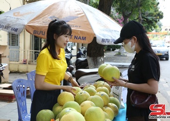 Hỗ trợ tiêu thụ sản phẩm bưởi Phúc Trạch Hà Tĩnh