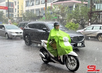 Tập trung ứng phó khẩn cấp với bão số 9 trên địa bàn tỉnh Sơn La