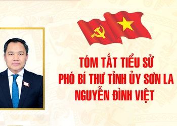 Tóm tắt tiểu sử Phó Bí thư Tỉnh ủy Nguyễn Đình Việt
