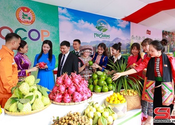 Không khí sôi động, lan tỏa niềm tin từ các hoạt động bên lề Đại hội đại biểu Đảng bộ tỉnh Sơn La lần thứ XVI