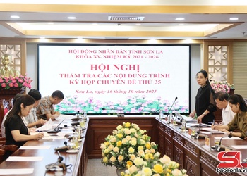 Thẩm tra các nội dung trình Kỳ họp chuyên đề lần thứ 35 HĐND tỉnh Sơn La khóa XV
