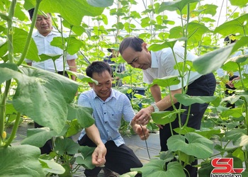Đồng hành cùng doanh nghiệp phát triển