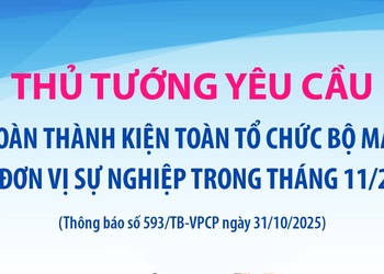 Thủ tướng yêu cầu hoàn thành kiện toàn tổ chức bộ máy các đơn vị sự nghiệp trong tháng 11/2025