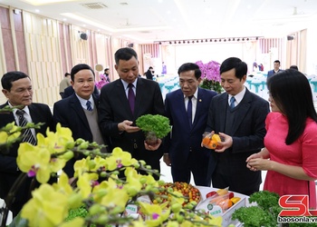 Hiệu quả hoạt động nghiên cứu, ứng dụng khoa học và công nghệ