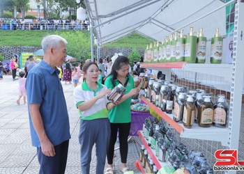 Hợp tác xã - Hạt nhân tái cơ cấu ngành nông nghiệp