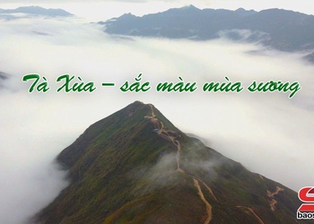 Chương trình "Tà Xùa – Sắc màu mùa sương"