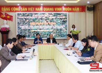  Tư vấn đánh giá tiềm năng và định hướng phát triển bền vững nguồn dược liệu của tỉnh Sơn La