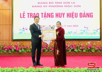 Đồng chí Chủ tịch UBND tỉnh trao Huy hiệu Đảng cho đảng viên Đảng bộ phường Mộc Sơn
	