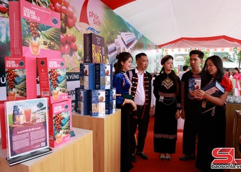 Trà Cascara – nâng tầm giá trị cà phê Arabica Sơn La