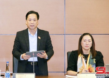 Đoàn đại biểu Quốc hội tỉnh Sơn La thảo luận tại Tổ về một số luật, nội dung lĩnh vực quy hoạch