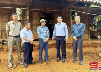 Đồng chí Phó Chủ tịch UBND tỉnh kiểm tra thực hiện Chương trình mục tiêu quốc gia 1719 và xóa nhà tạm, nhà dột nát