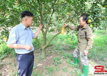 Giúp nông dân làm giàu và giảm nghèo bền vững