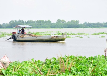 Theo dòng Cái Lớn
