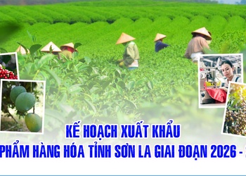 Kế hoạch xuất khẩu sản phẩm hàng hóa tỉnh Sơn La giai đoạn 2026 - 2030