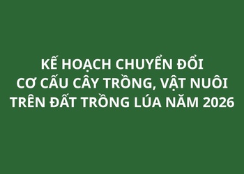 Kế hoạch chuyển đổi cơ cấu cây trồng, vật nuôi trên đất trồng lúa năm 2026