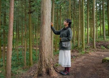 Khám phá Jeonbuk - “thiên đường” du lịch chăm sóc sức khỏe xứ kim chi