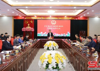 Họp tiến độ triển khai đầu tư xây dựng Trường Nội trú liên cấp Tiểu học - Trung học cơ sở tại các xã biên giới