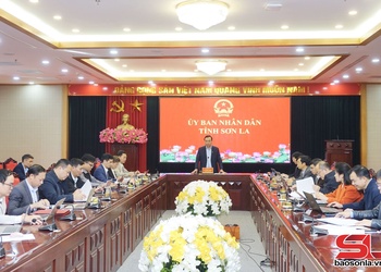 Đồng chí Phó Chủ tịch Thường trực UBND tỉnh làm việc với các phường trung tâm của tỉnh