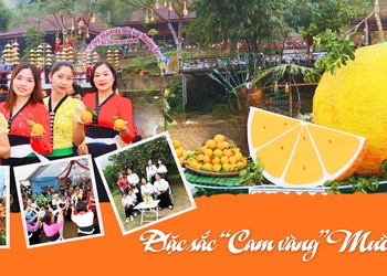Đặc sắc "Cam vàng" Mường Cơi