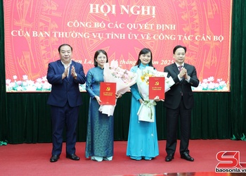 Hội nghị công bố các quyết định của Ban Thường vụ Tỉnh ủy về công tác cán bộ tại Ban Nội chính Tỉnh ủy và Ủy ban Kiểm tra Tỉnh ủy